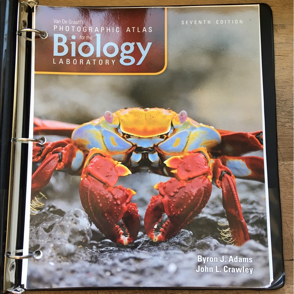 COLLEGE TEXTBOOK